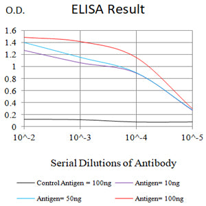 Mouse Monoclonal Antibody to SCARB1