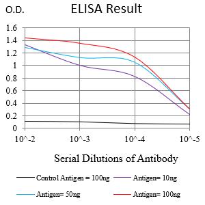 Mouse Monoclonal Antibody to LMNB1