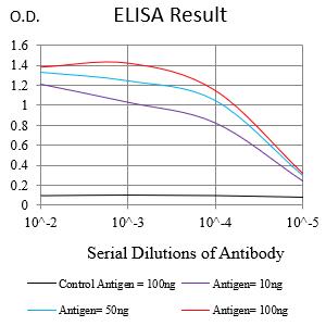 Mouse Monoclonal Antibody to LMNB1
