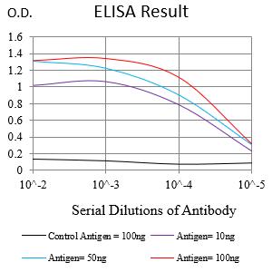 Mouse Monoclonal Antibody to PRF1