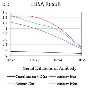 Mouse Monoclonal Antibody to BCL2