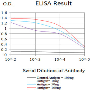 Mouse Monoclonal Antibody to TSPAN8