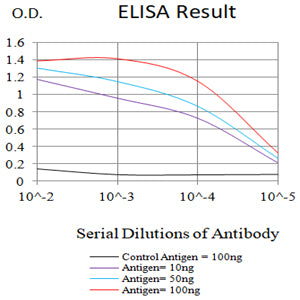 Mouse Monoclonal Antibody to VCP