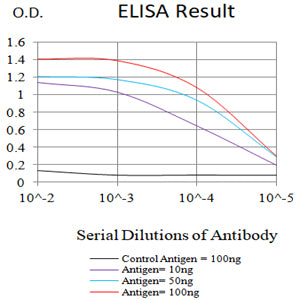 Mouse Monoclonal Antibody to VASP