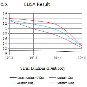 Mouse Monoclonal Antibody to KCNN4