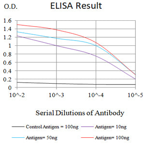 Mouse Monoclonal Antibody to KMT2A