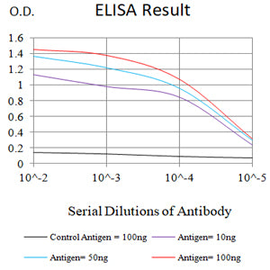Mouse Monoclonal Antibody to P4HB