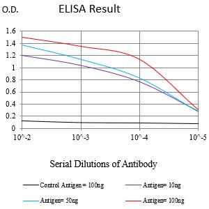 Mouse Monoclonal Antibody to ATP5F1A