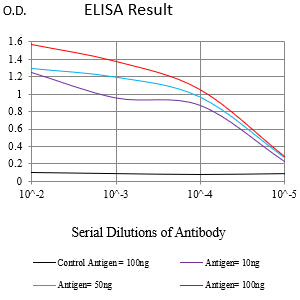 Mouse Monoclonal Antibody to CD172b