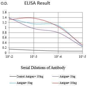 Mouse Monoclonal Antibody to RABEP2