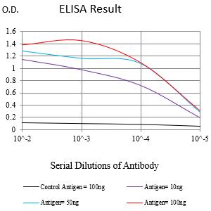 Mouse Monoclonal Antibody to KCNN4