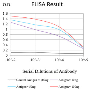 Mouse Monoclonal Antibody to B4GALNT1