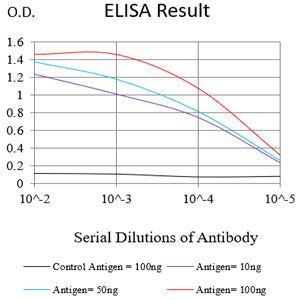 Mouse Monoclonal Antibody to VASP