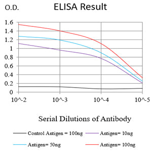 Mouse Monoclonal Antibody to XRCC1