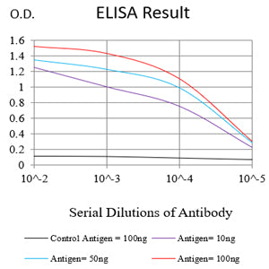 Mouse Monoclonal Antibody to HSP70