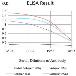 Mouse Monoclonal Antibody to CLEC2