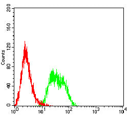 Mouse Monoclonal Antibody to TSG101