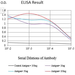 Mouse Monoclonal Antibody to DLG4