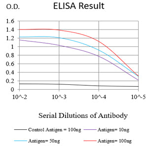 Mouse Monoclonal Antibody to USP7