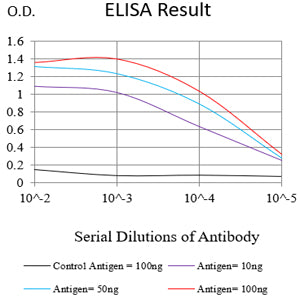 Mouse Monoclonal Antibody to KITLG
