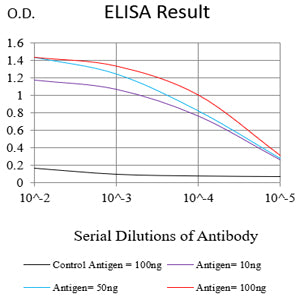 Mouse Monoclonal Antibody to HSP70