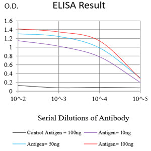 Mouse Monoclonal Antibody to ETFA