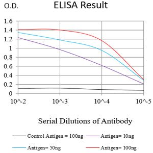 Mouse Monoclonal Antibody to P4HB