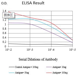 Mouse Monoclonal Antibody to HMOX1