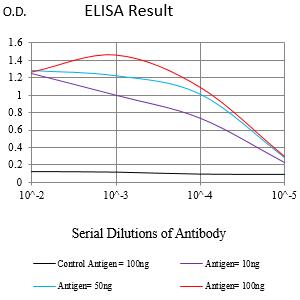 Mouse Monoclonal Antibody to HMOX1