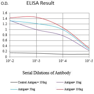 Mouse Monoclonal Antibody to HLA-F