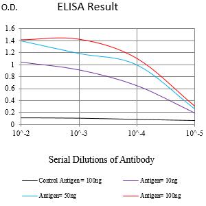 Mouse Monoclonal Antibody to RABEP2