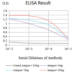 Mouse Monoclonal Antibody to ACADM