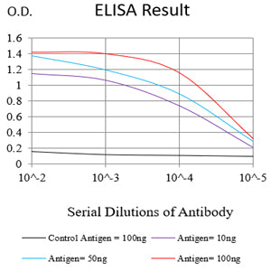 Mouse Monoclonal Antibody to HSP70
