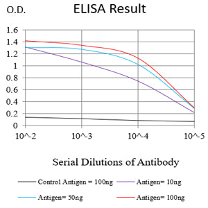 Mouse Monoclonal Antibody to PLAU