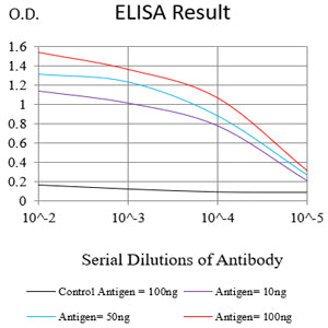 Mouse Monoclonal Antibody to AHNAK