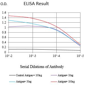 Mouse Monoclonal Antibody to ITGB7