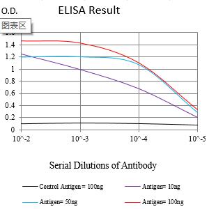 Mouse Monoclonal Antibody to DLG4