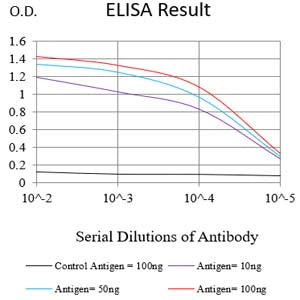 Mouse Monoclonal Antibody to HSPA9