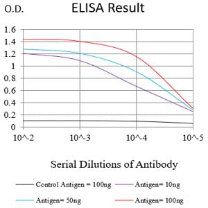Mouse Monoclonal Antibody to NDC80
