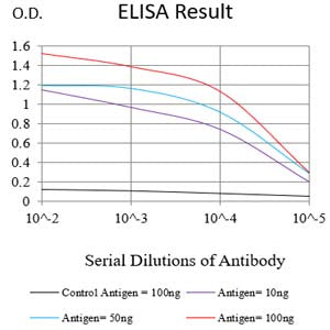 Mouse Monoclonal Antibody to NDC80