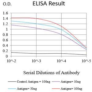 Mouse Monoclonal Antibody to GMNN