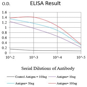 Mouse Monoclonal Antibody to SV2C