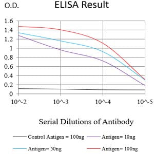 Mouse Monoclonal Antibody to SDHA