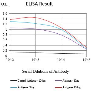 Mouse Monoclonal Antibody to CCNB3