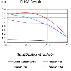 Mouse Monoclonal Antibody to DYRK4
