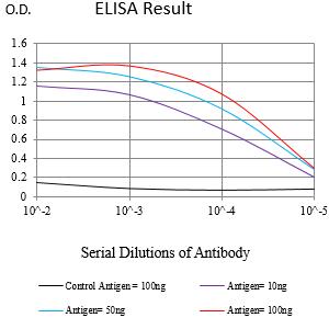 Mouse Monoclonal Antibody to DYRK4