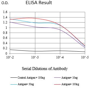 Mouse Monoclonal Antibody to LAMP1
