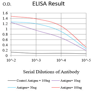 Mouse Monoclonal Antibody to MTDH