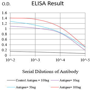 Mouse Monoclonal Antibody to CD45R