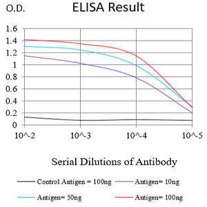 Mouse Monoclonal Antibody to RISP